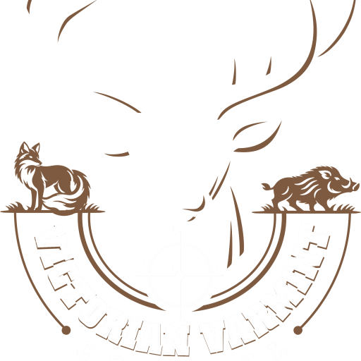 cropped vvc logo